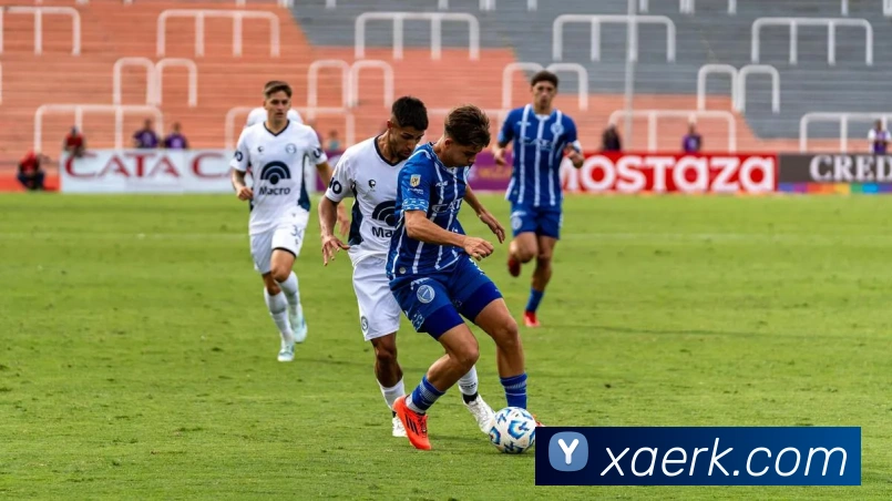 博鱼买球赛平台生态图
